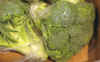 broccoli1723inidia.JPG (41867 Byte)
