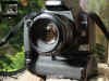 canon400d_50mm.jpg (81455 Byte)